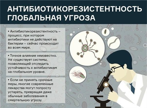Профилактика антибиотикорезистентности