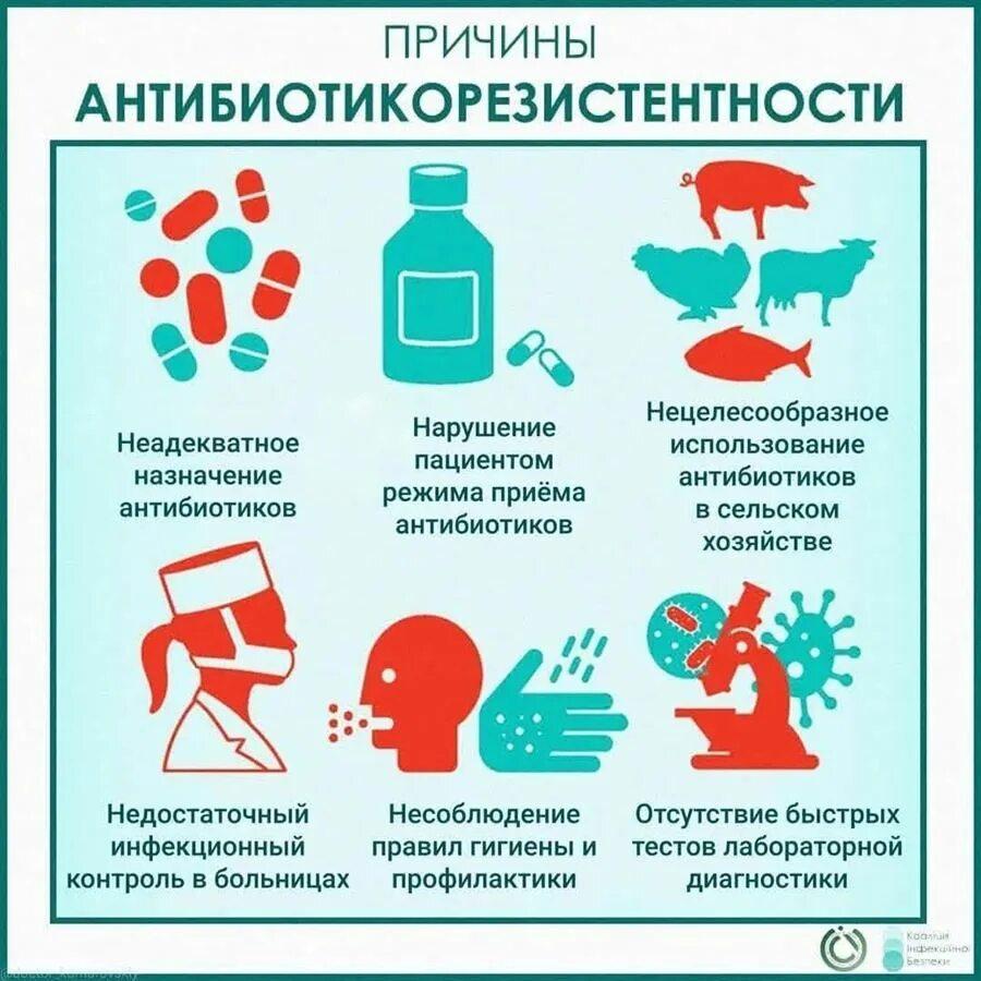 Профилактика антибиотикорезистентности