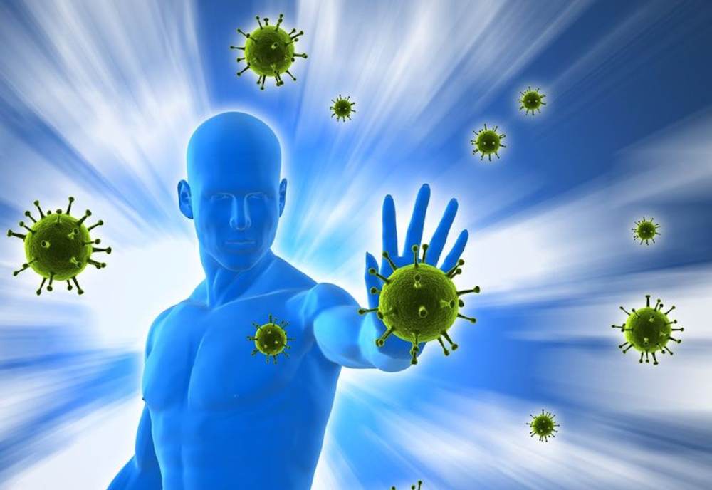 Как работает иммунная система?