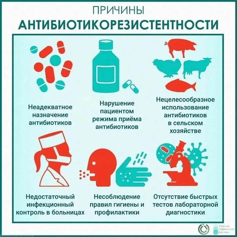 Профилактика устойчивости к антибиотикам