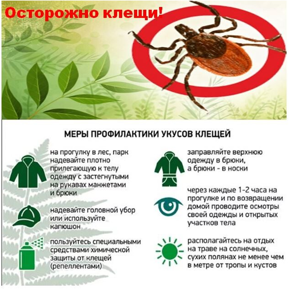 Картинка осторожно клещи для детей